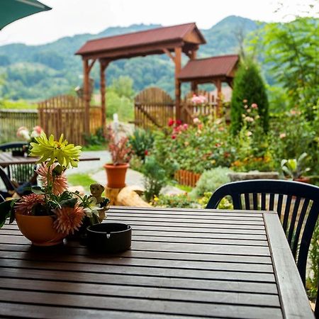 Pension Agnes Viseu de Sus Ngoại thất bức ảnh