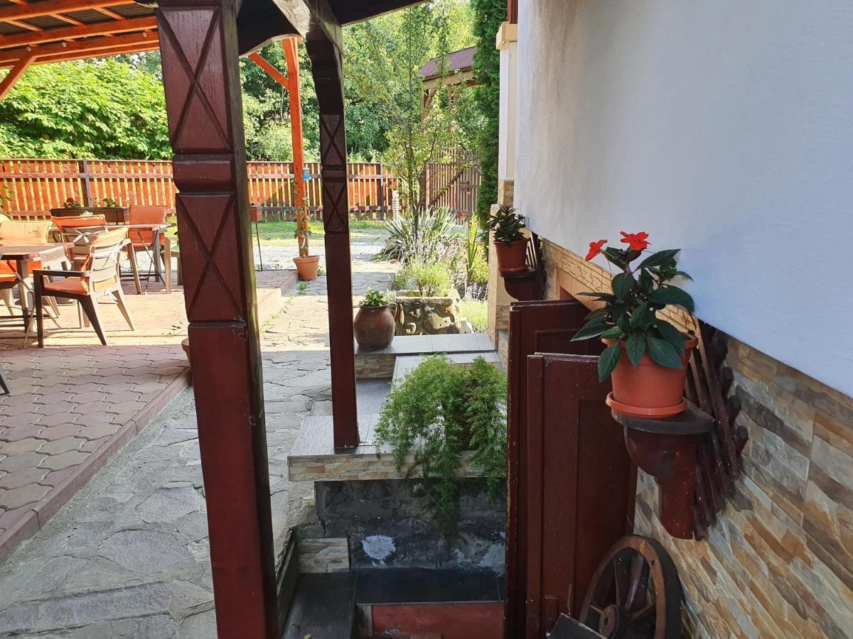 Pension Agnes Viseu de Sus Ngoại thất bức ảnh