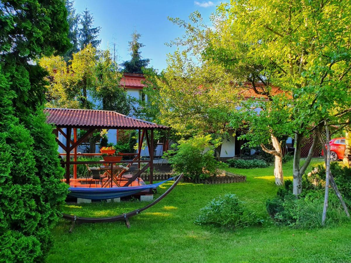 Pension Agnes Viseu de Sus Ngoại thất bức ảnh