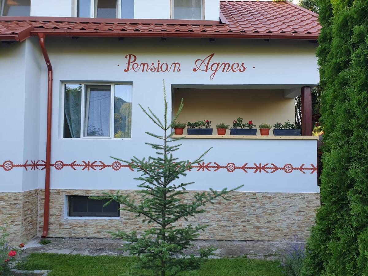 Pension Agnes Viseu de Sus Ngoại thất bức ảnh