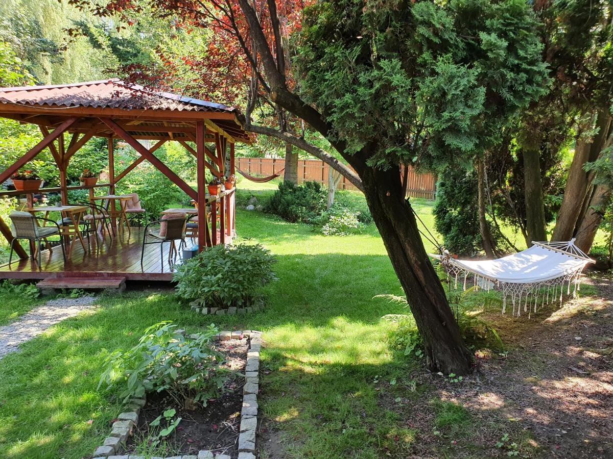 Pension Agnes Viseu de Sus Ngoại thất bức ảnh