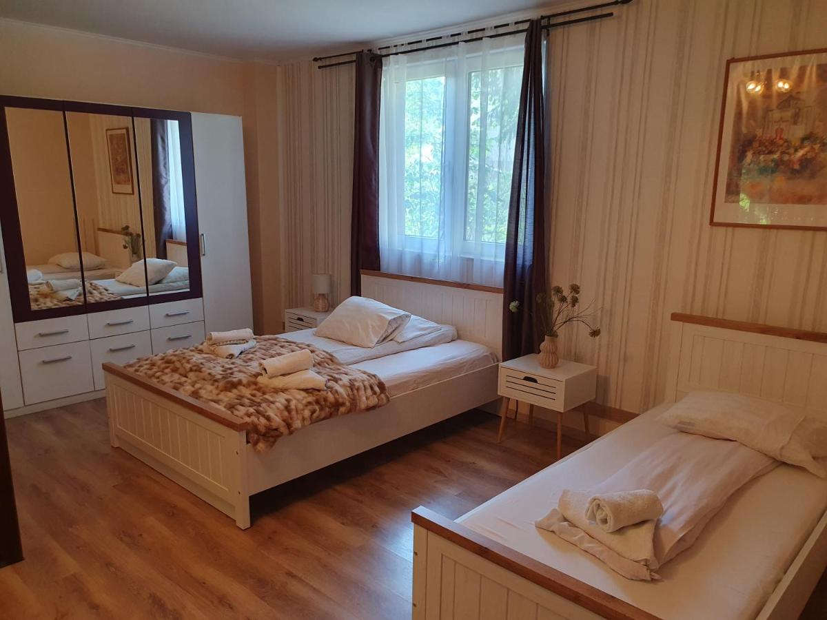 Pension Agnes Viseu de Sus Ngoại thất bức ảnh