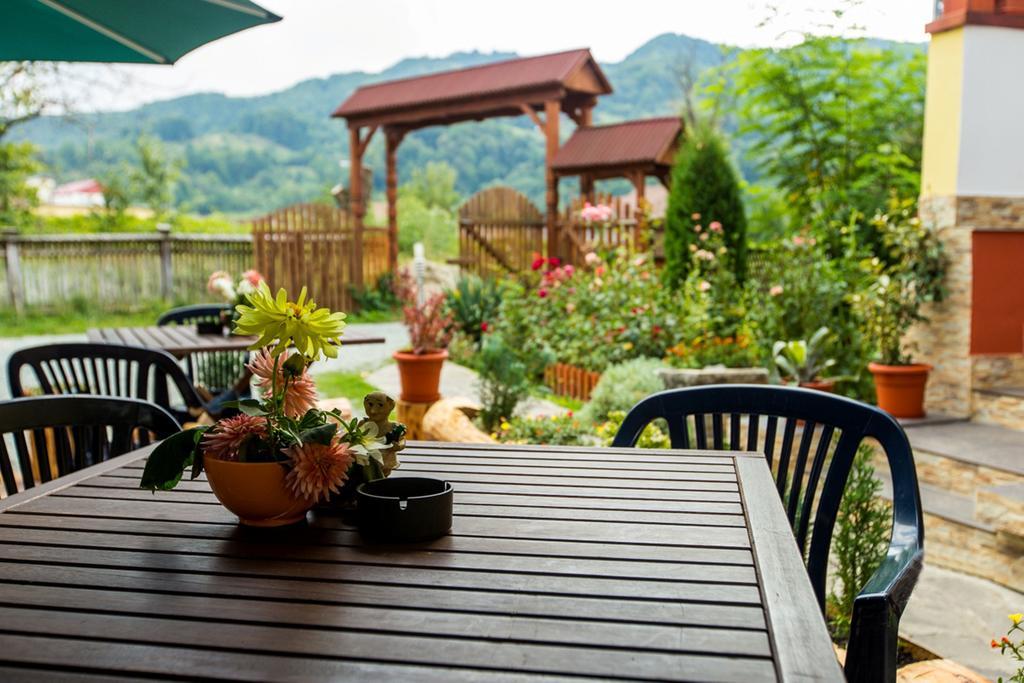 Pension Agnes Viseu de Sus Ngoại thất bức ảnh